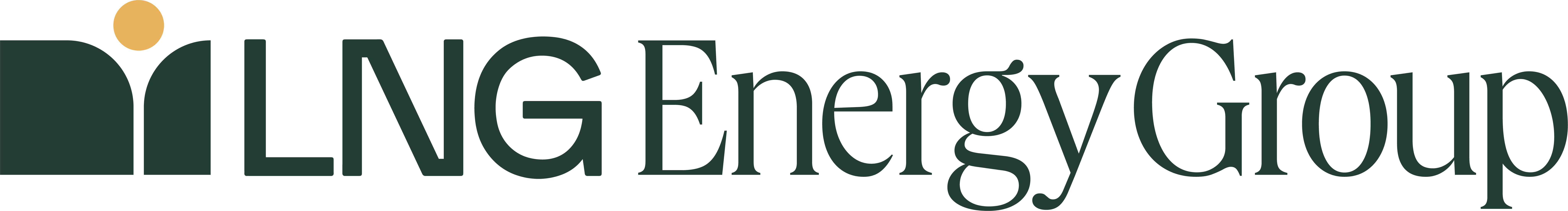 LNG ENERGY GROUP